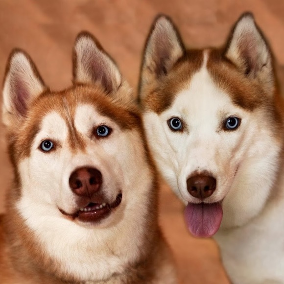 Meet your Posher, Christine - Picture 1 of 1